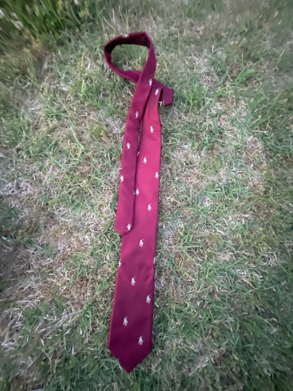Men's Burgundy Embroidered Polo-Style Tie